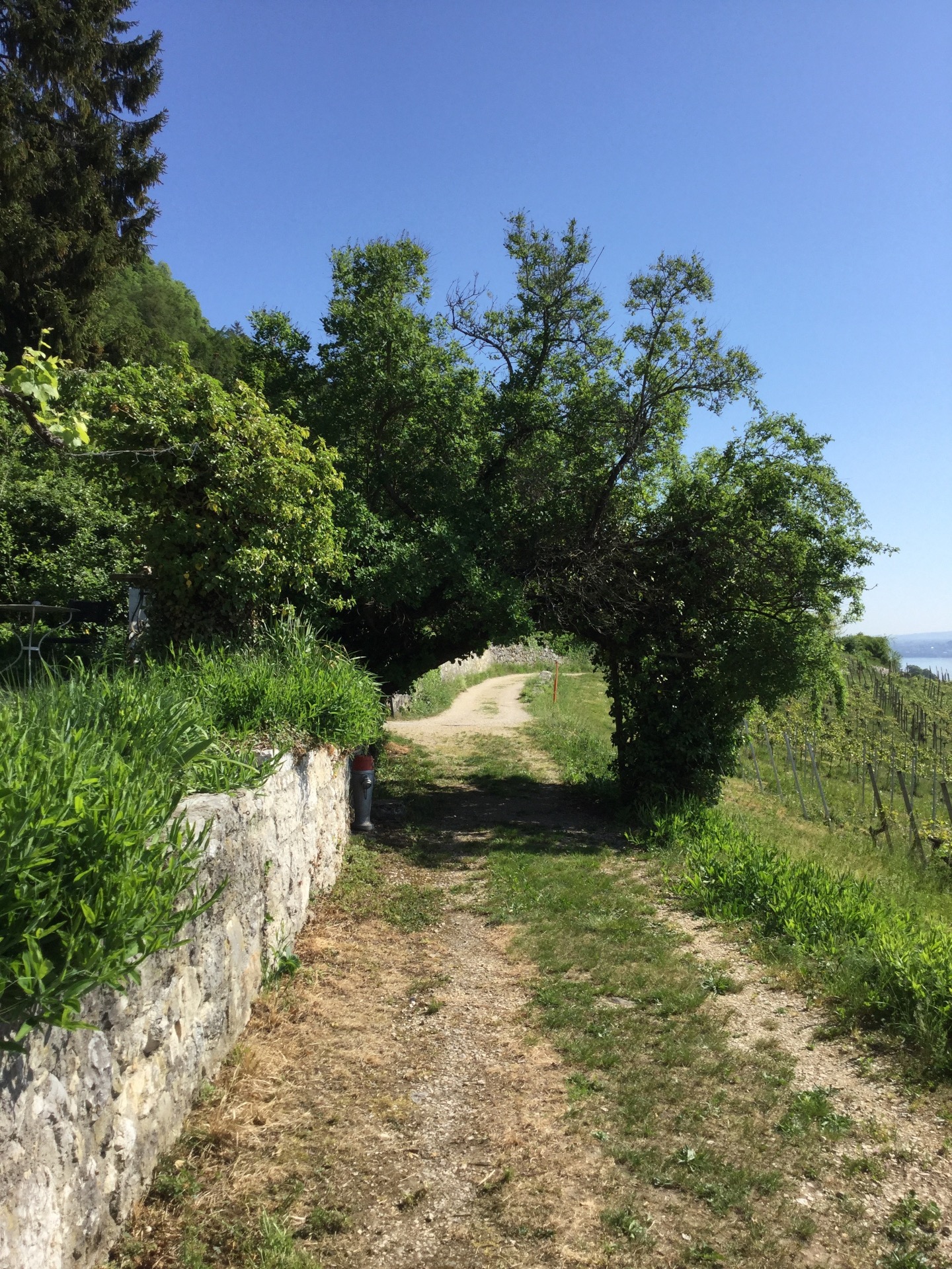 Der Weg Authentic Movement