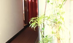 64F2B0AC-16B8-4BCE-BBC8-EBA374493B70_1_201_a