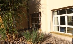 8FE1236E-F091-410F-9A34-33785EBC728B_1_105_c